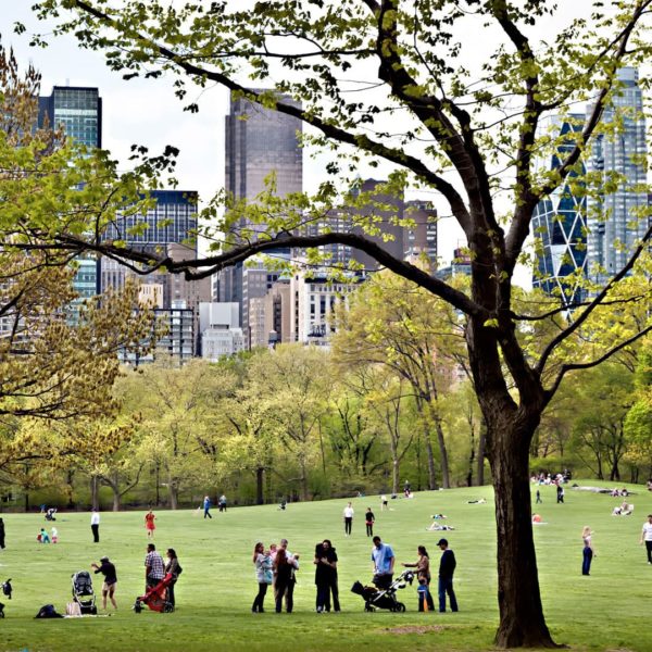 Central Park à New York Central Park à New York