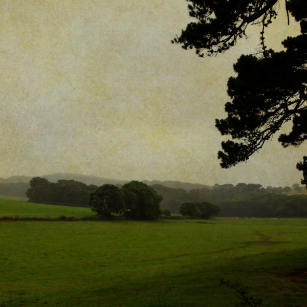 Dans la campagne anglaise