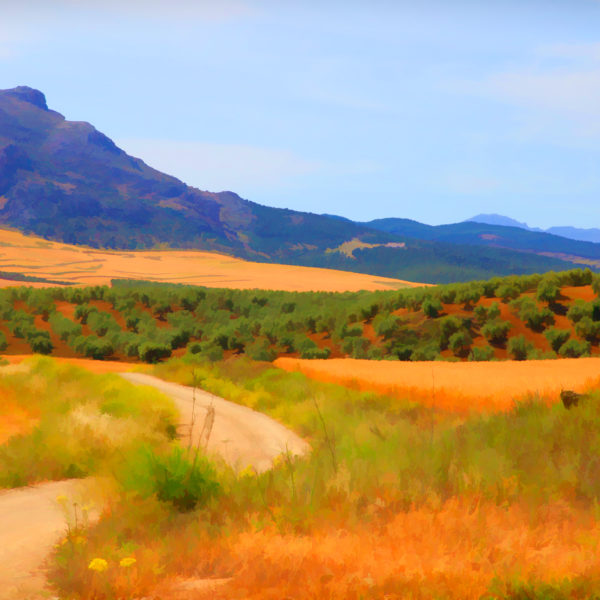 Paysage andalou Paysage andalou