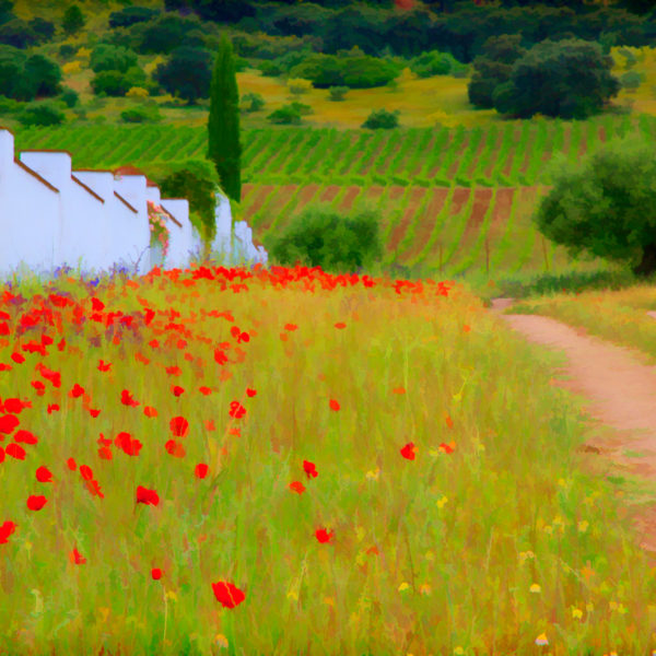 Paysage andalou Paysage andalou