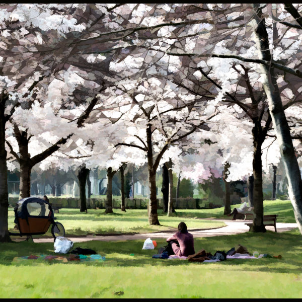 Scène de Printemps 2019 Scène de Printemps 2019