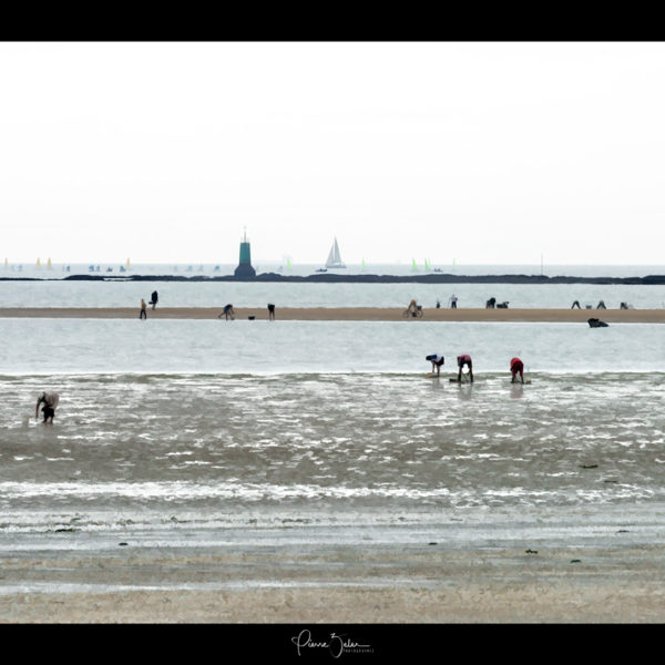 Les ramasseurs de coquillages – La Baule –
