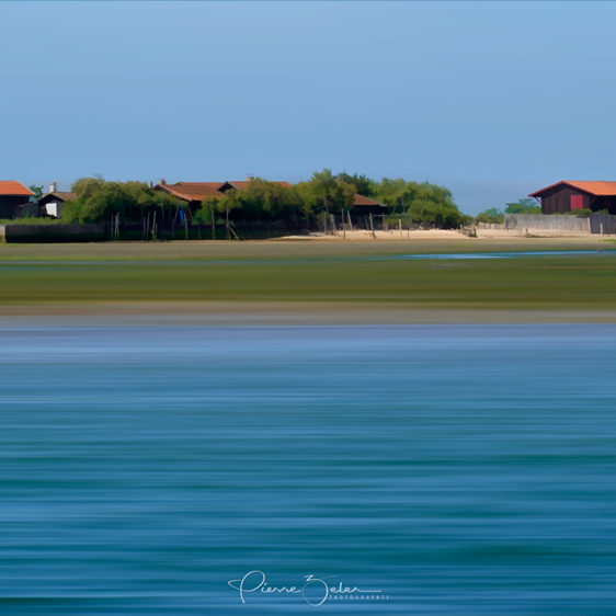 » L’Île aux oiseaux «